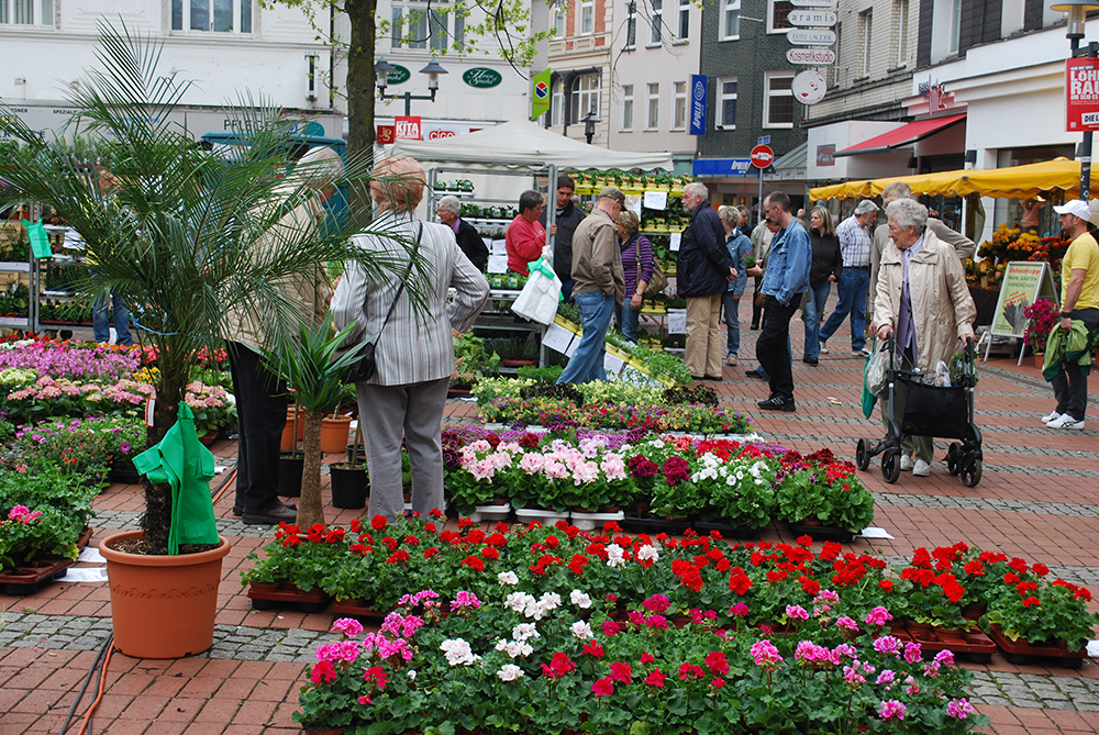 Blumen- und Gartenmarkt Essen Steele 2017